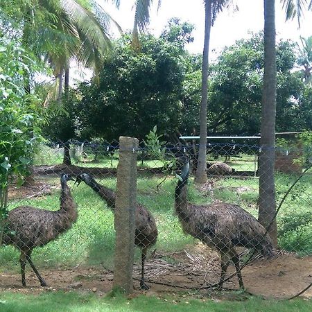 Mango Village Farm House Nelliyampathy 외부 사진