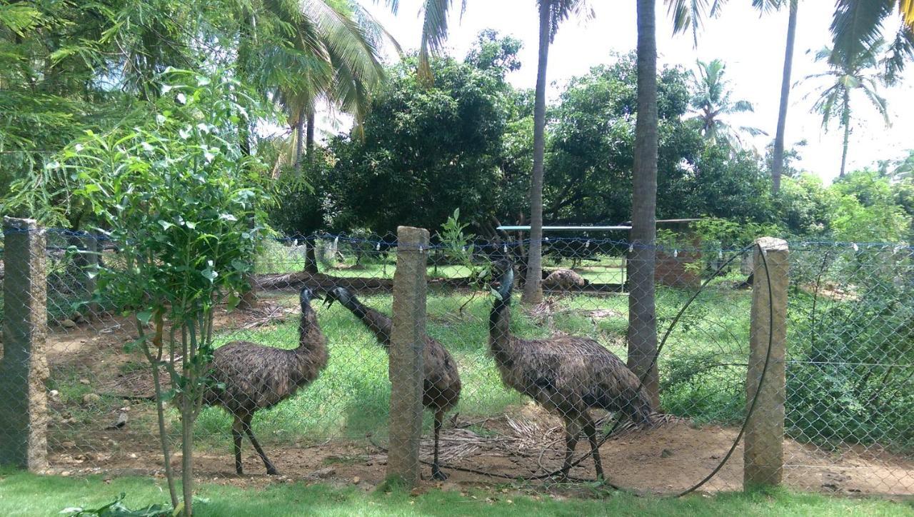 Mango Village Farm House Nelliyampathy 외부 사진